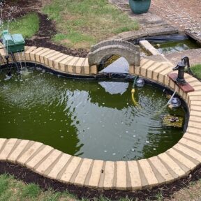 New Pond